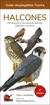 HALCONES GUIAS DESPLEGABLES TUNDRA - 9788418458071